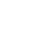 AI Apprenticeship Programme® 87 Asset