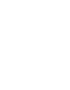 AI Apprenticeship Programme® 91 Asset