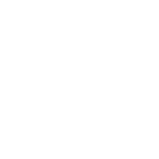 AI Apprenticeship Programme® 86 coin 1